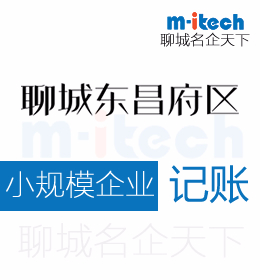 聊城東昌府去申請(qǐng)小規(guī)模企業(yè)記賬如何代開發(fā)票