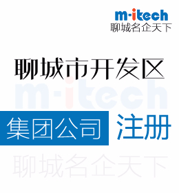 聊城經(jīng)濟技術開發(fā)區(qū)代辦公司集團注冊營業(yè)執(zhí)照辦理